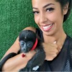 Meet Gizmo Our Capuchin Monkey Pet for Sale Near Me