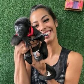 Meet Gizmo Our Capuchin Monkey Pet for Sale Near Me