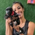 Meet Gizmo Our Capuchin Monkey Pet for Sale Near Me