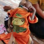 Meet Pogo Our Pet Monkey For Sale