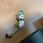 Baby Squirrel Monkey For Sale